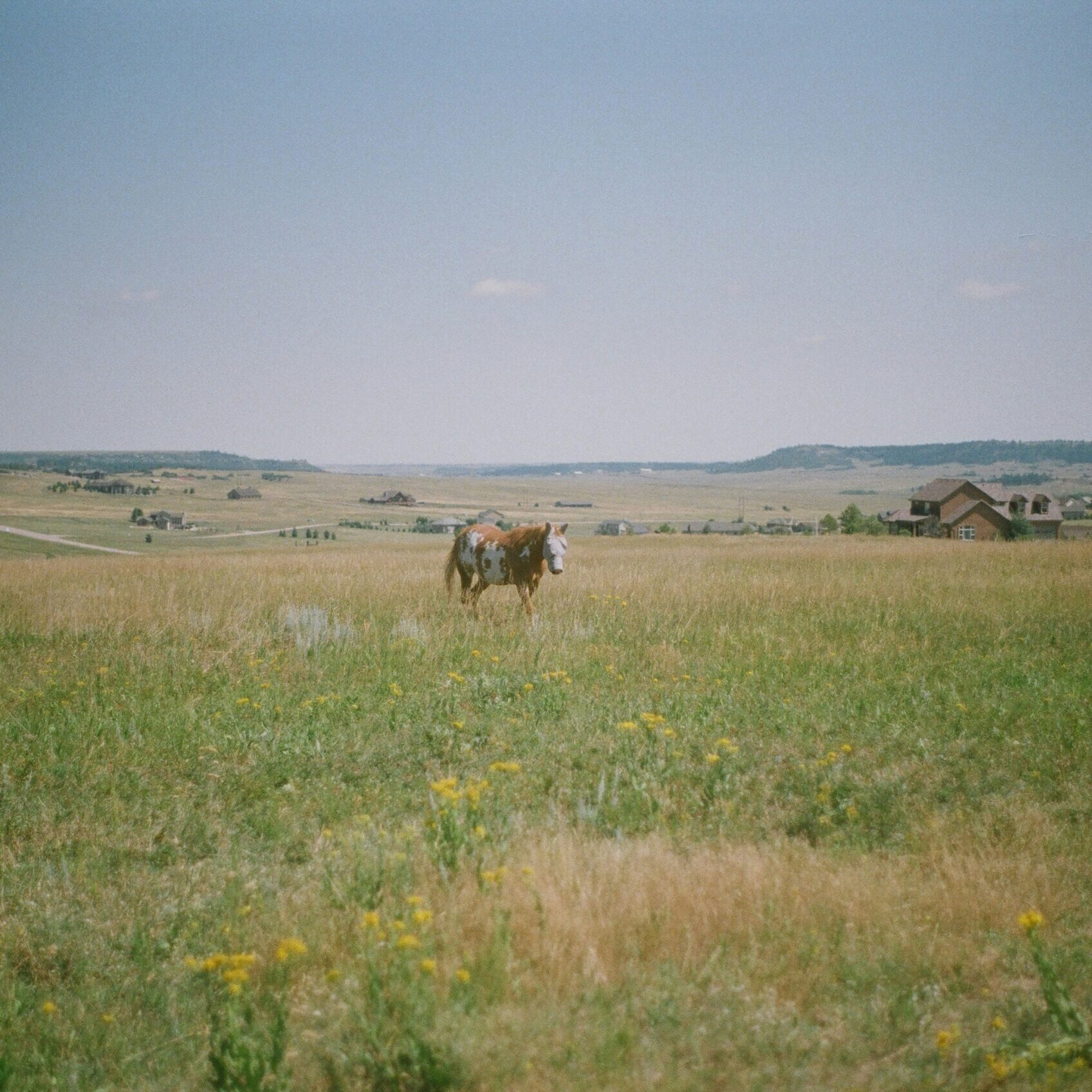 brandon-hoogenboom-VdfM0eSG_EM-unsplash