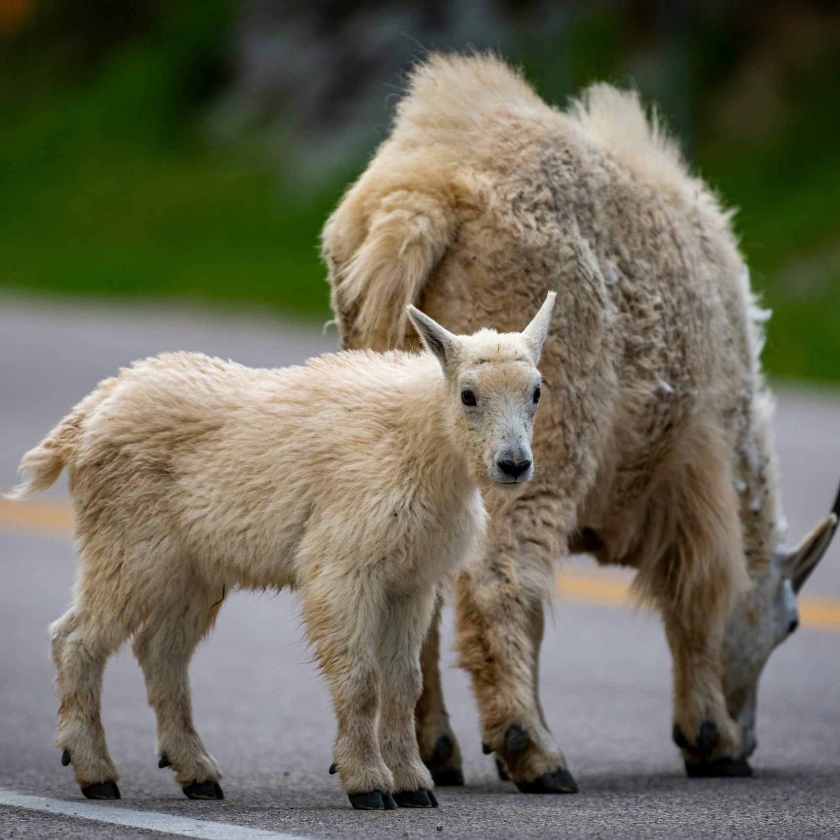 jon-sailer-7bEFjA_LYYs-unsplash