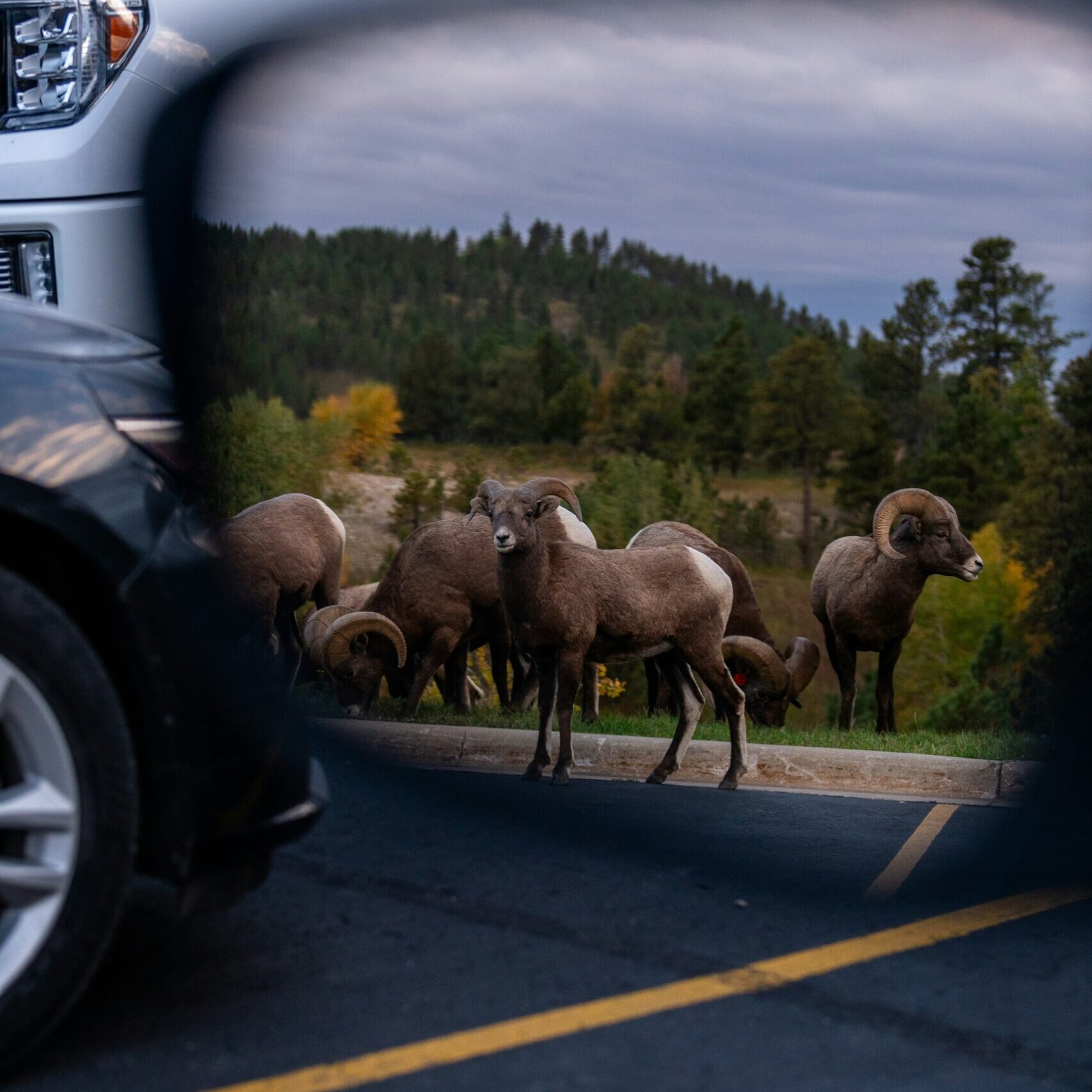 jon-sailer-N69WdXENNik-unsplash