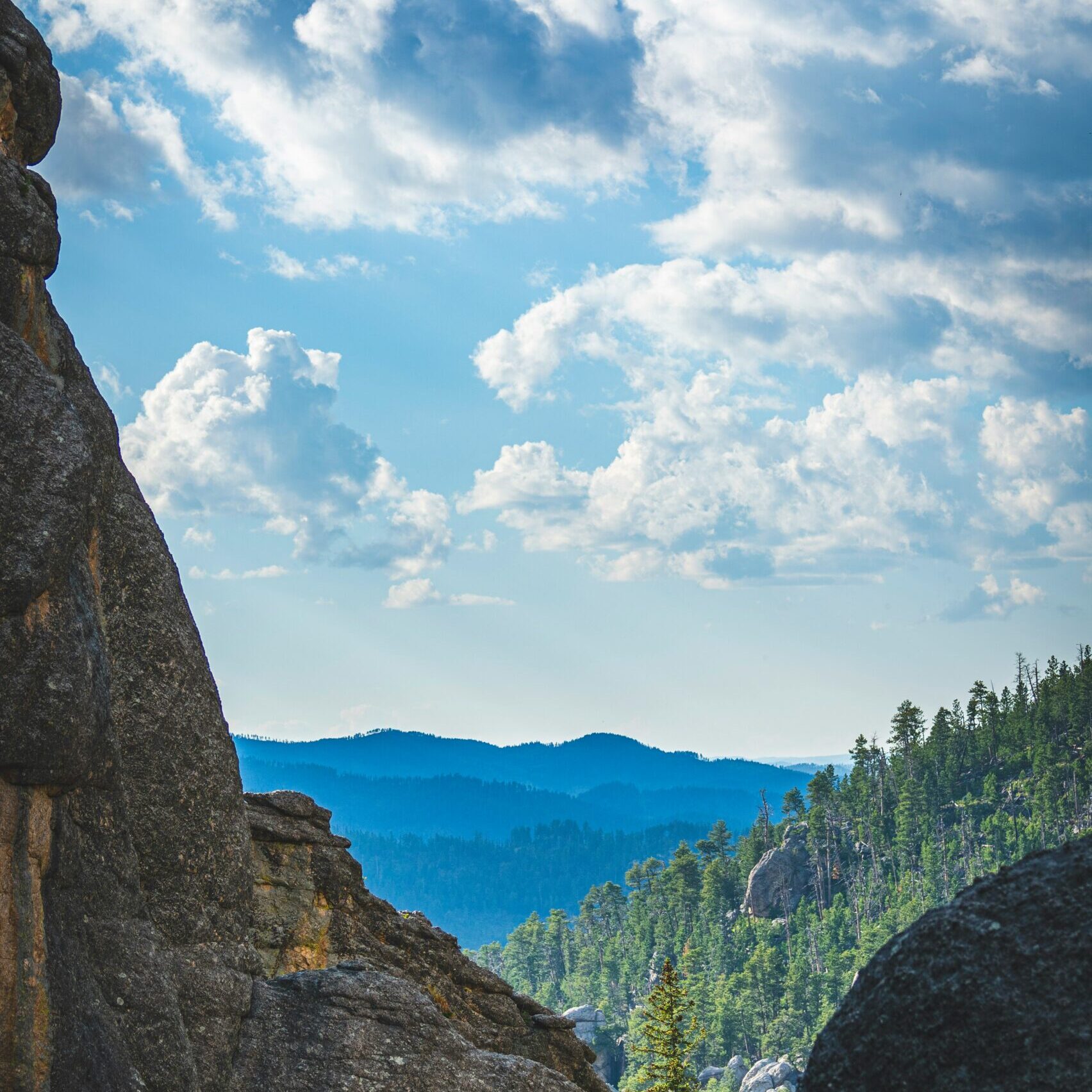 jon-sailer-lKHpGvxiWoM-unsplash