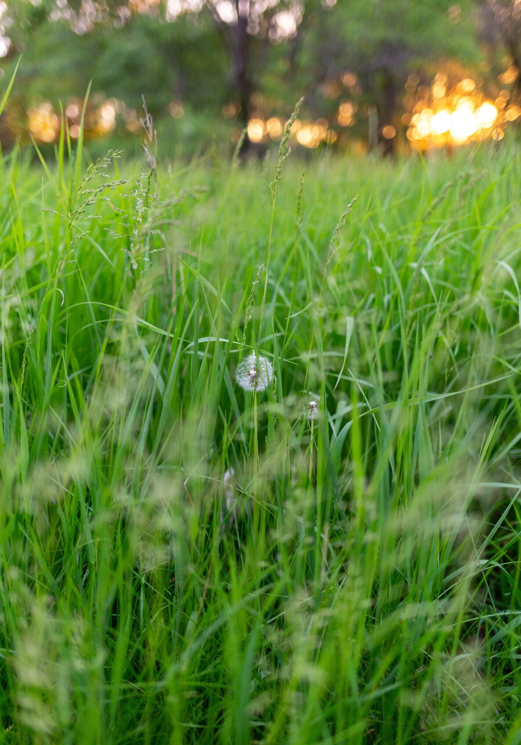 justin-wilkens-X2w3wNJepCc-unsplash