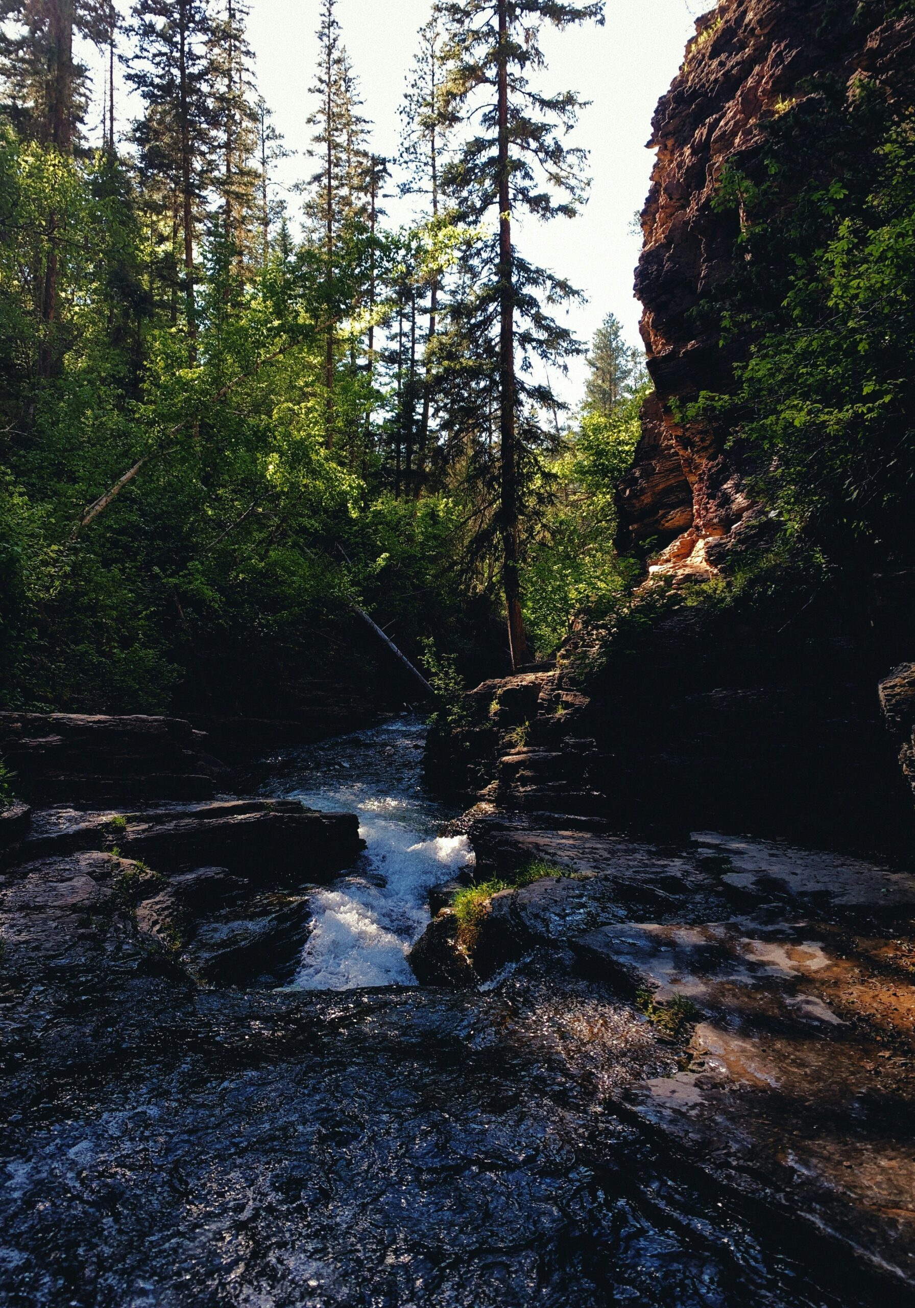 tommy-bond-p9yV2mJacKQ-unsplash
